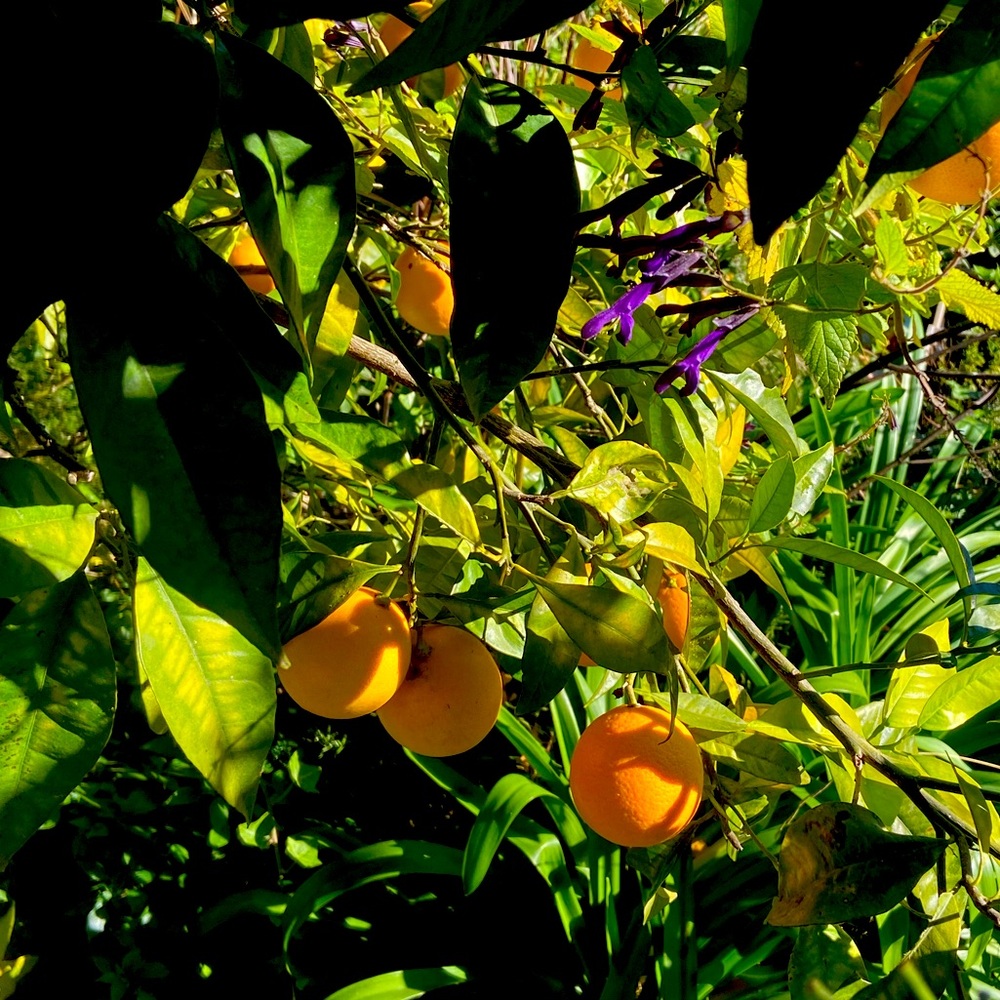 Meet your Posher, Elin